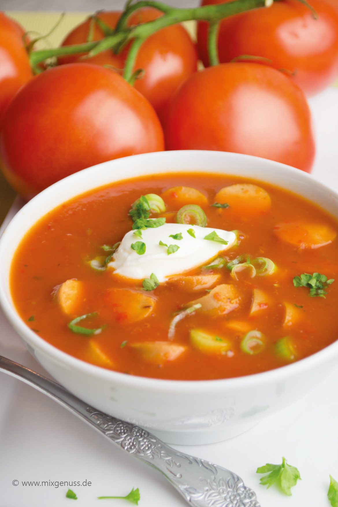 Tomaten-Paprika-Suppe – MixGenuss Blog