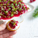 Cranberry-Dip_Q Weihnachtlicher Cranberrydip
