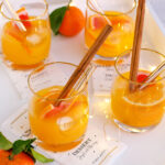 Winterlicher Orangen-Gin